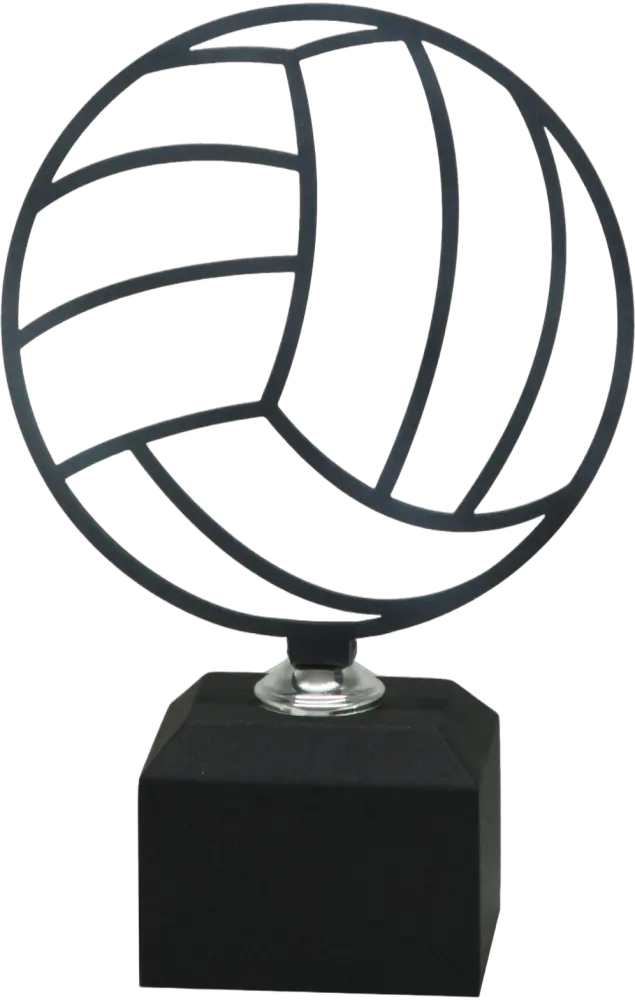 Voleibol