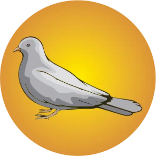 Columbofilia 2