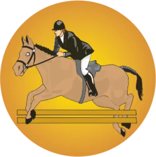 Hipismo 2