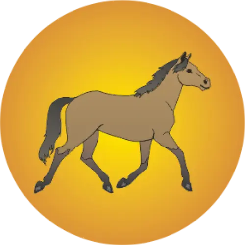 Hipismo (Cavalo) 2