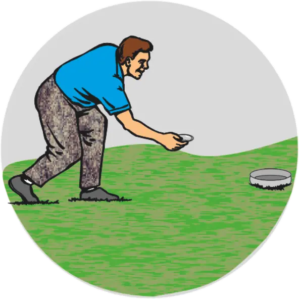 Raiola