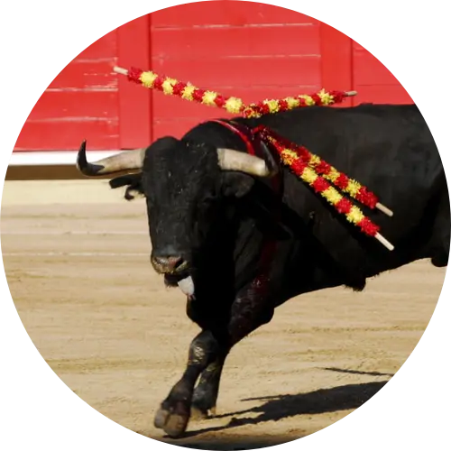 Tauromaquia 1