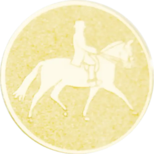 Hipismo (cavaleiro)
