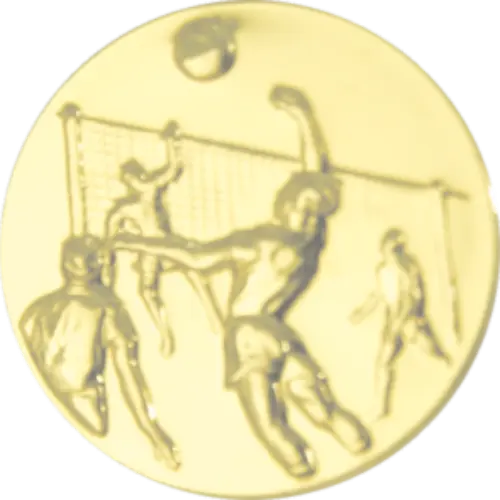 Voleibol